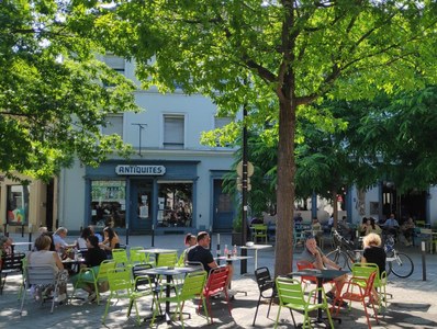 Extension du piétonnier : retour sur le voyage d'étude à Mulhouse