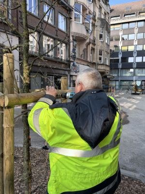 qr code sur les arbres du piétonnier