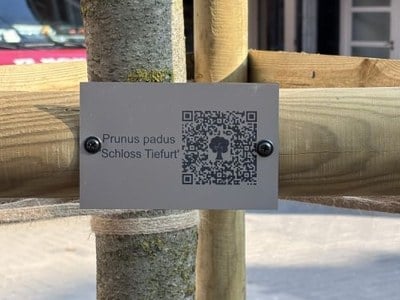Le piétonnier et ses arbres en QR code