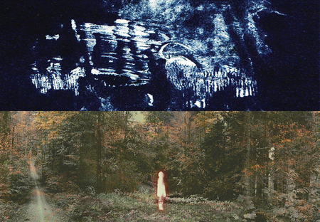 Illustration de l'actualité - cliquer pour agrandir