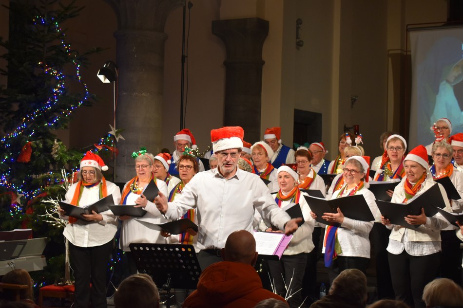 26 12 13 violoneux DSC 0687