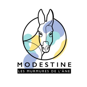 Modestine ASBL