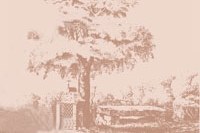 Illustration de l'actualité - cliquer pour agrandir
