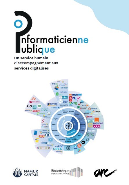 Informaticien public