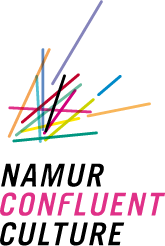Logo - Namur Confluent - Quadri