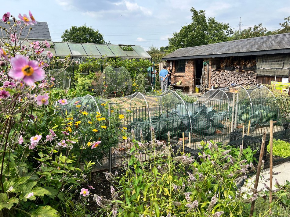 Photo potager ouvert
