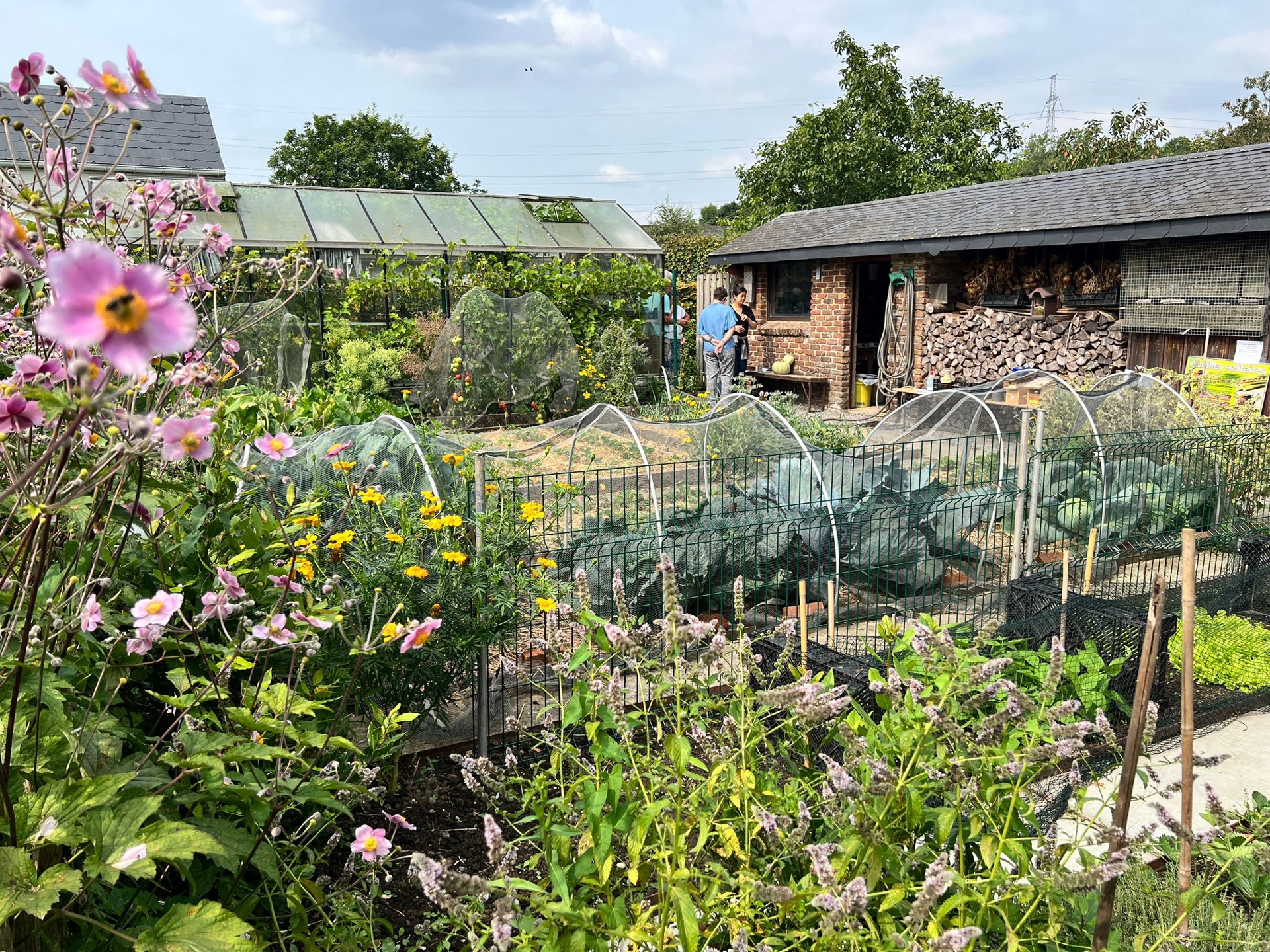 Photo potager ouvert