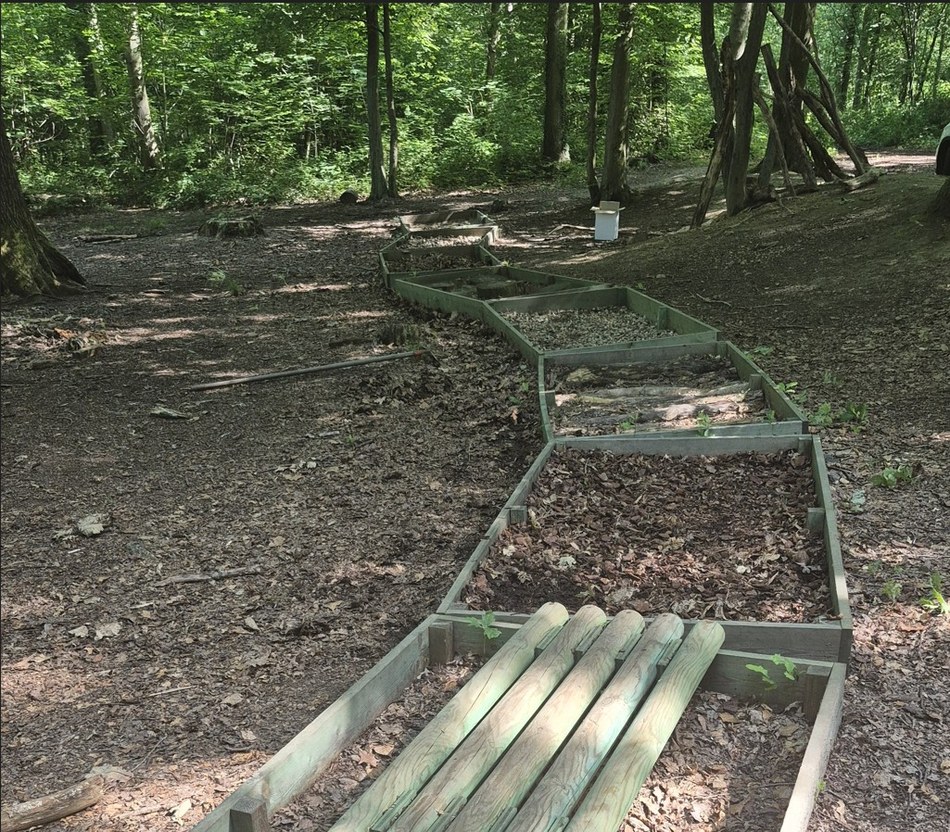 balade bois de la flache