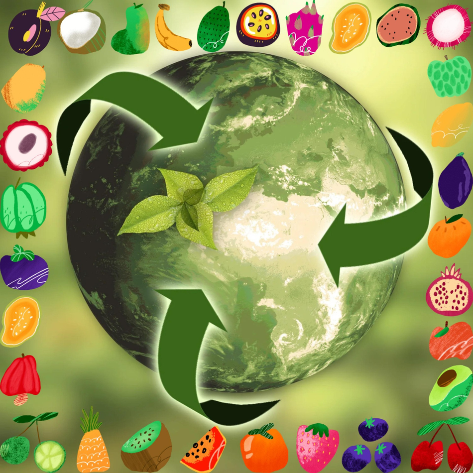 Alimentation juste et durable