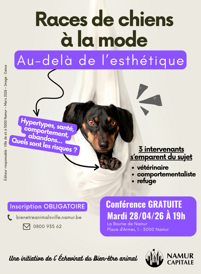 races chiens