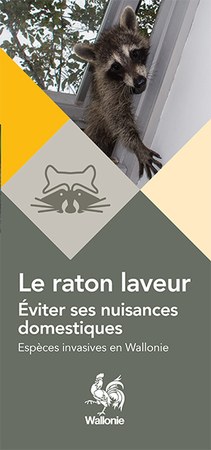 Illustration de l'actualité - cliquer pour agrandir