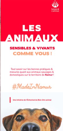 Illustration de l'actualité - cliquer pour agrandir