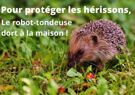 Illustration de l'actualité - cliquer pour agrandir