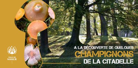 Illustration de l'actualité - cliquer pour agrandir