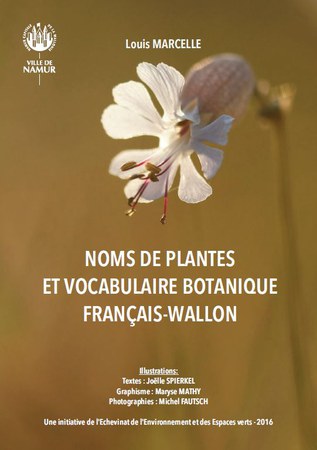 Illustration de l'actualité - cliquer pour agrandir