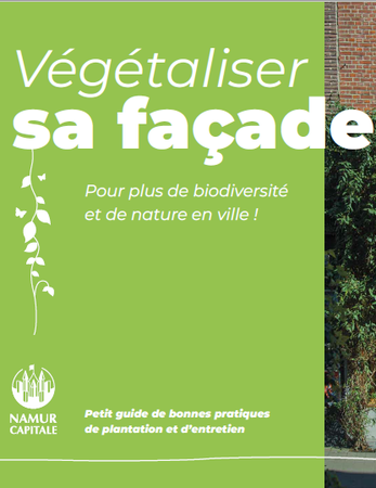 Illustration de l'actualité - cliquer pour agrandir