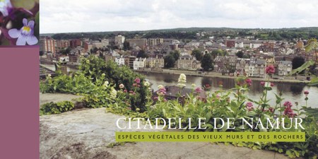 Illustration de l'actualité - cliquer pour agrandir