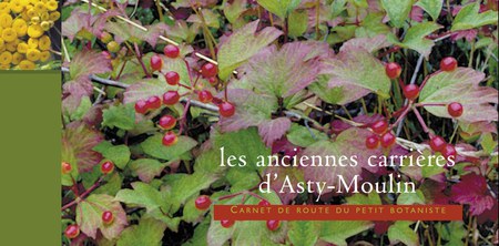 Illustration de l'actualité - cliquer pour agrandir