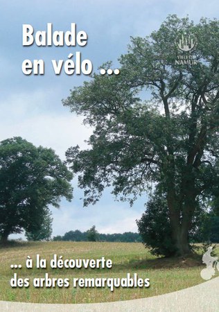 Illustration de l'actualité - cliquer pour agrandir